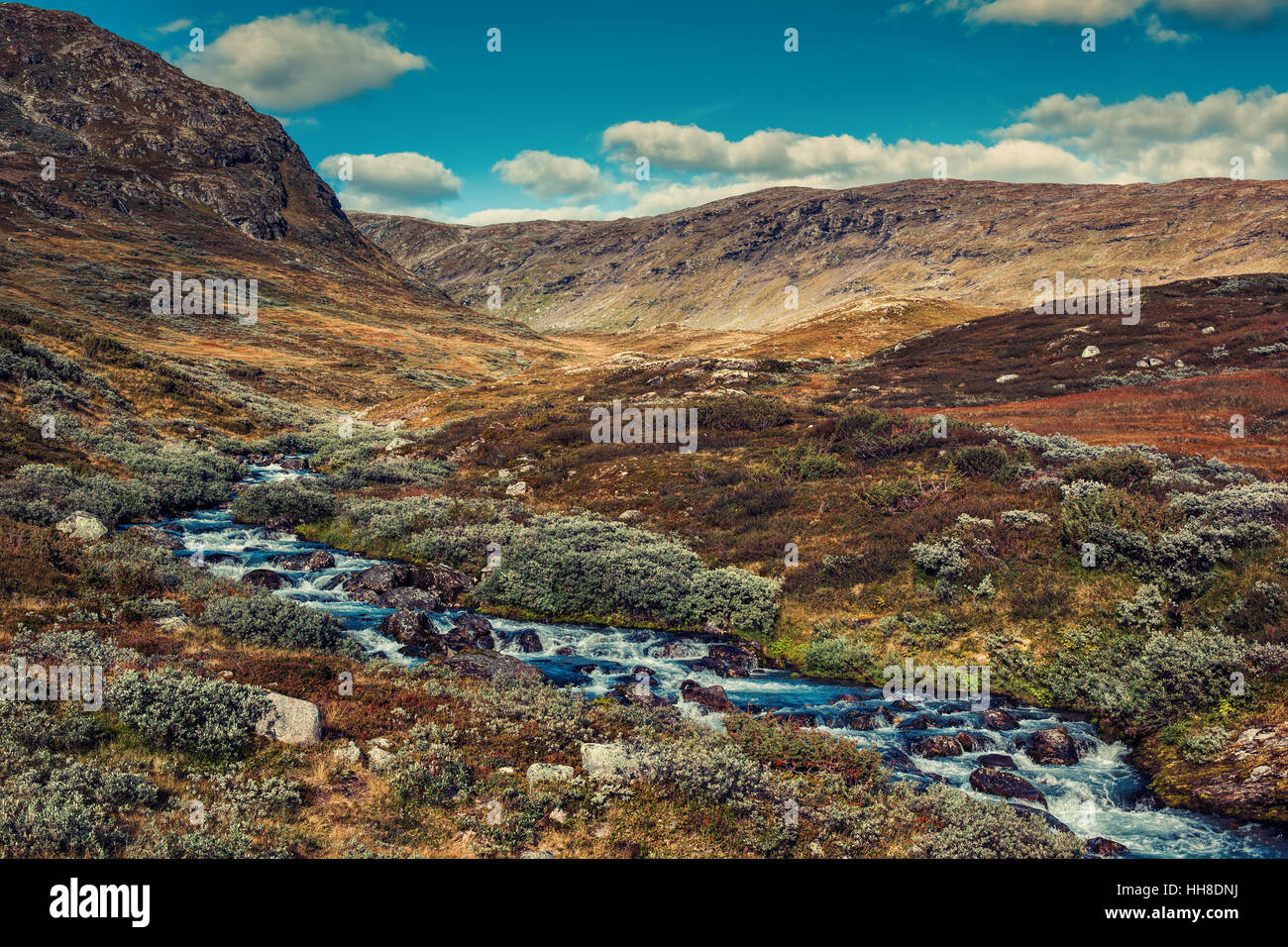 Norvegia alta montagna paesaggio con fiume. Autunno in stile pellicola a colori. Foto Stock