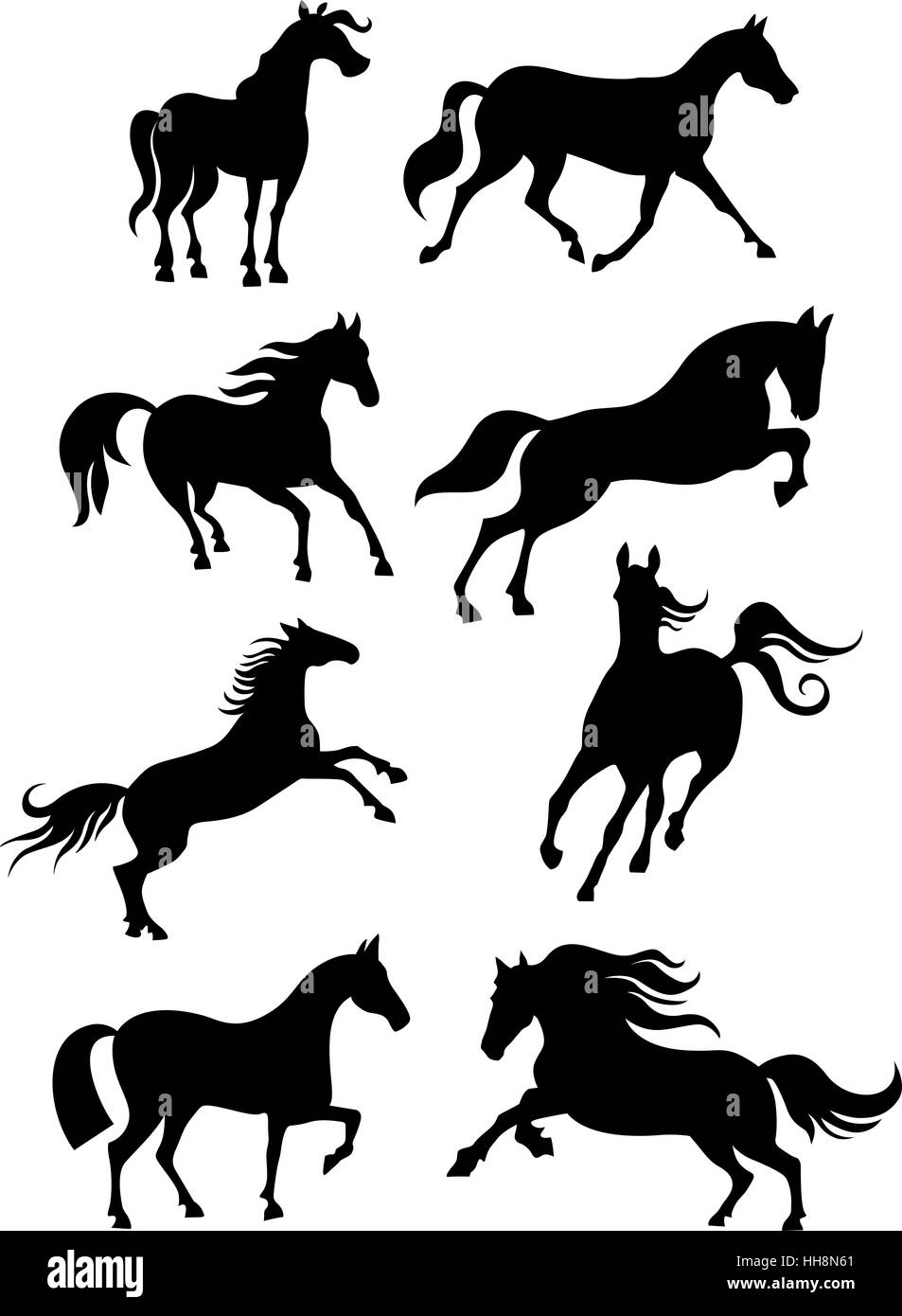 Cavallo isolato Foto Stock