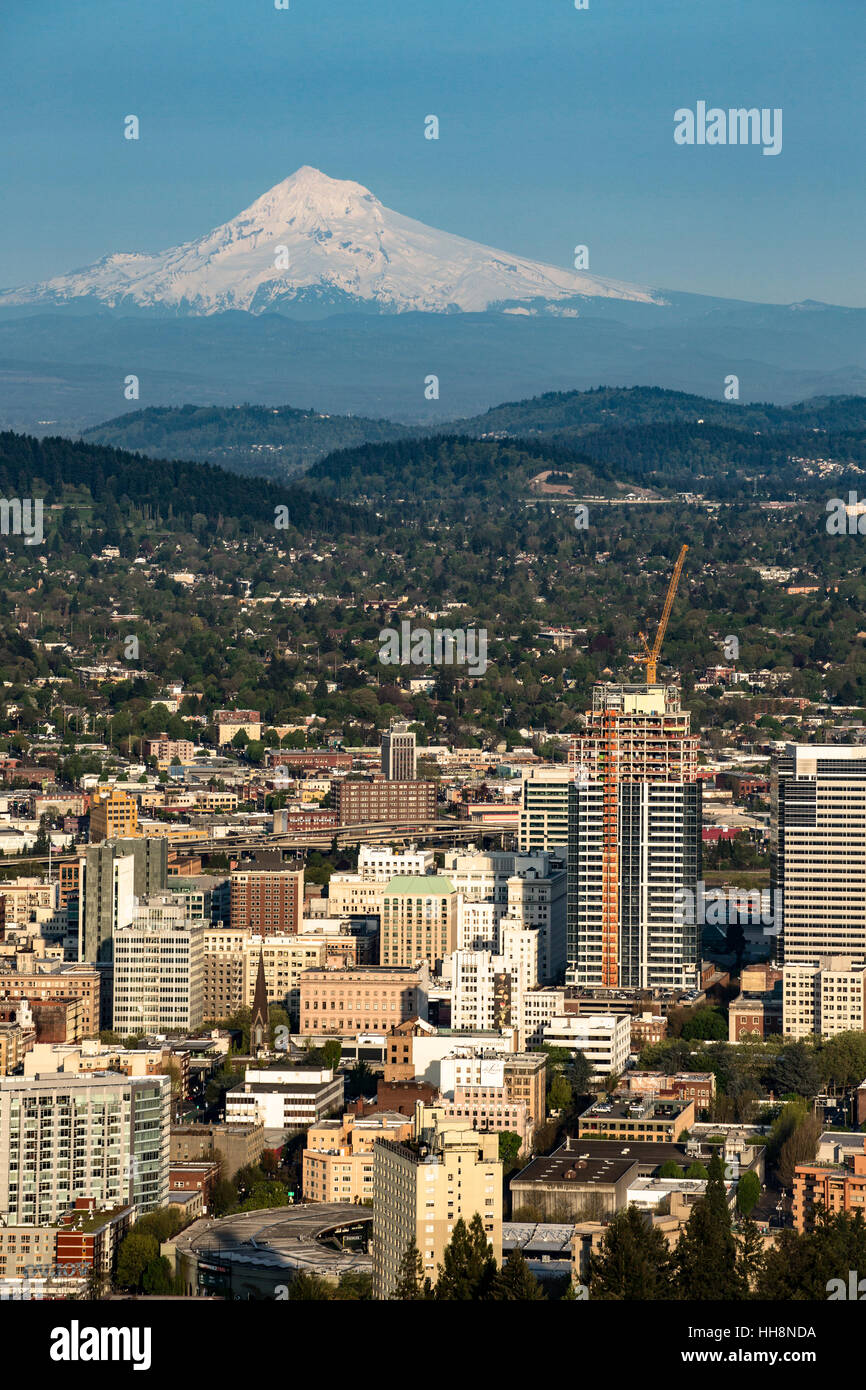 Skyline di Portland e monte Cofano vulcano, Portland, Oregon, Stati Uniti d'America Foto Stock