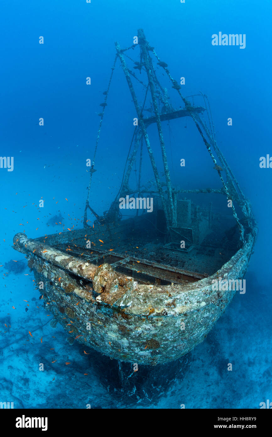 La poppa della nave da pesca, naufragio, Ras Banas, St. Johns, Sirnaka isola, Mar Rosso, Egitto Foto Stock