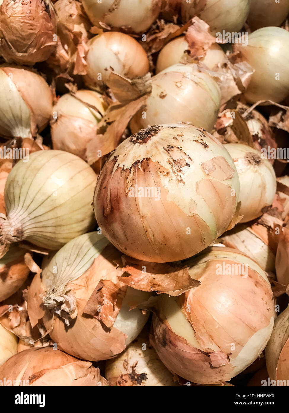 Chiuso fino pila di cipolle del mercato alimentare Foto Stock