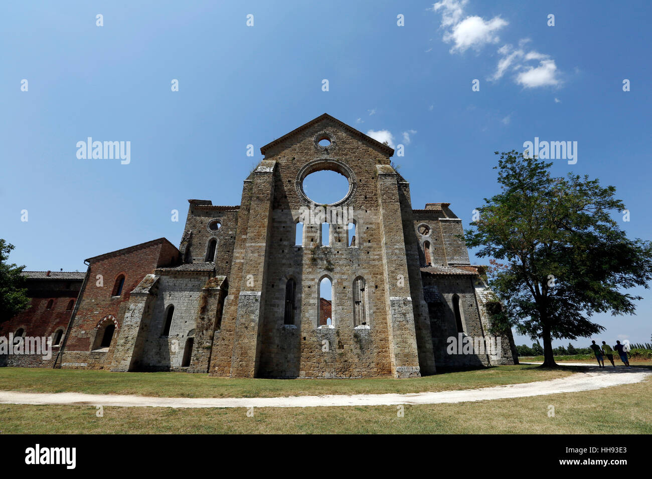 CHIUSDINO, Italia, Luglio 26, 2016: vista del gotico Abbazia di San Galgano sulla luglio 26, 2016 a Chiusdino, Siena, Toscana, Italia. Foto Stock