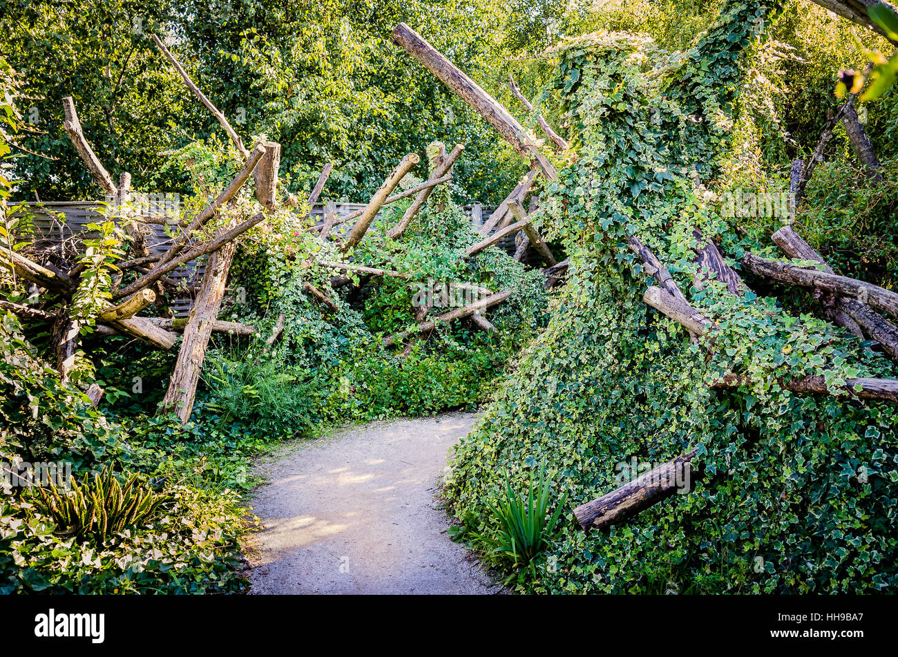 Un giardino di ricoperta di pezzi di woody si presta un'aria di mistero come il percorso conduce fuori della vista Foto Stock