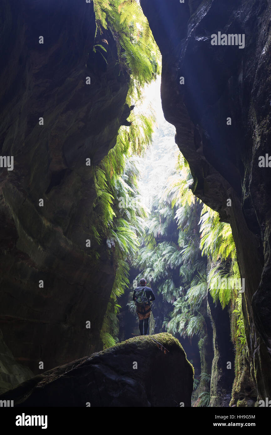Canyoning avventura nel canyon claustral nelle Blue Mountains, Australia Foto Stock