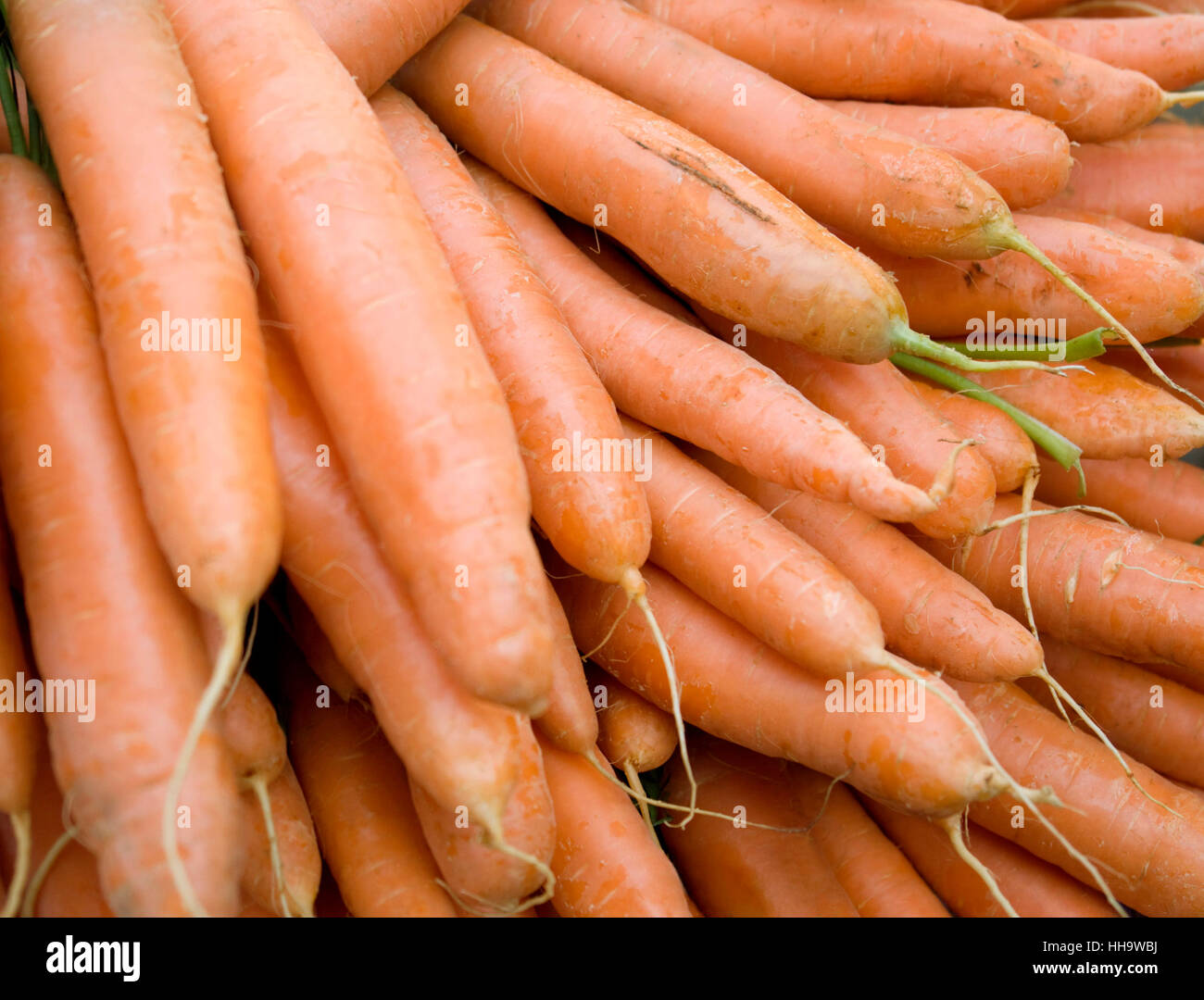 Full frame sfondo con i lotti di materie di carote Foto Stock