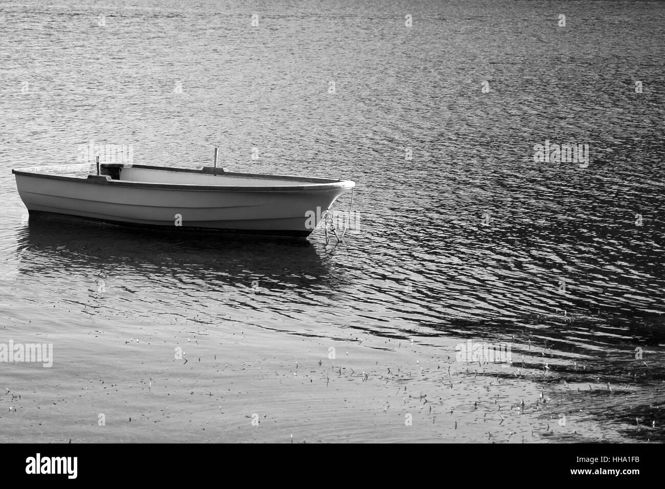 Estate, summerly, orizzontale, la solitudine, la pesca in barca, pesca, giorno durante Foto Stock