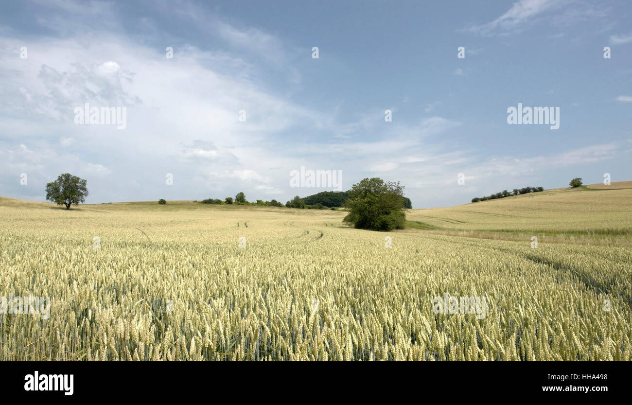 Idilliaco e rurale paesaggio panoramico in Hohenlohe, un area nel sud della Germania, in estate Foto Stock