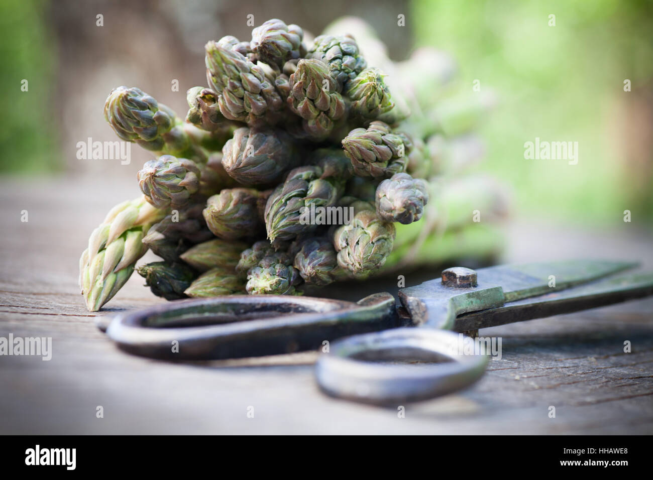 Cibo, aliment, salute, modello, design, progetto concetto, pianificazione progetto, giardino, Foto Stock