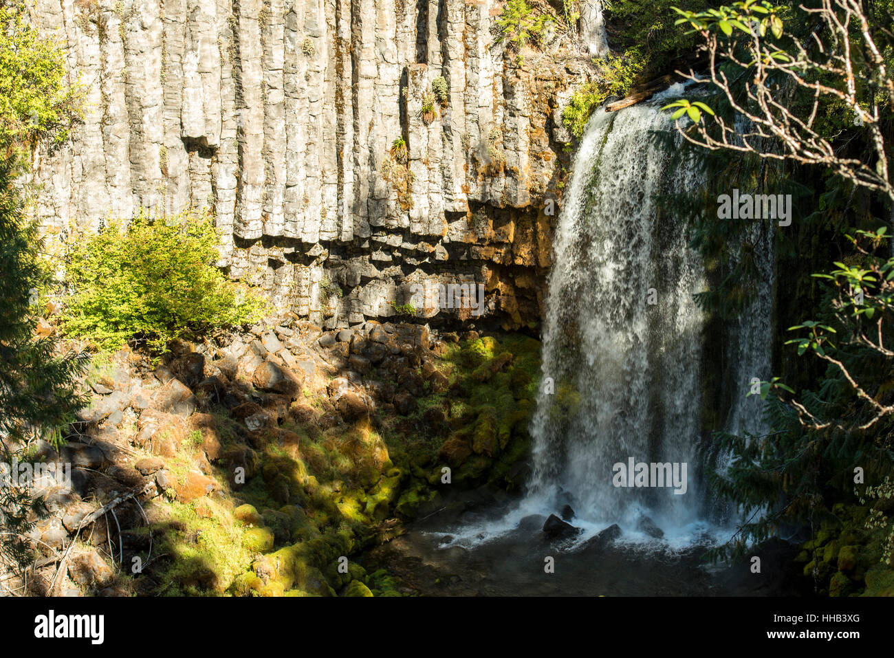 Warm Springs cascata, Umpqua National Forest, acqua cade su un basalto colonnare sporgenza per una piscina sottostante, breve esposizione Foto Stock