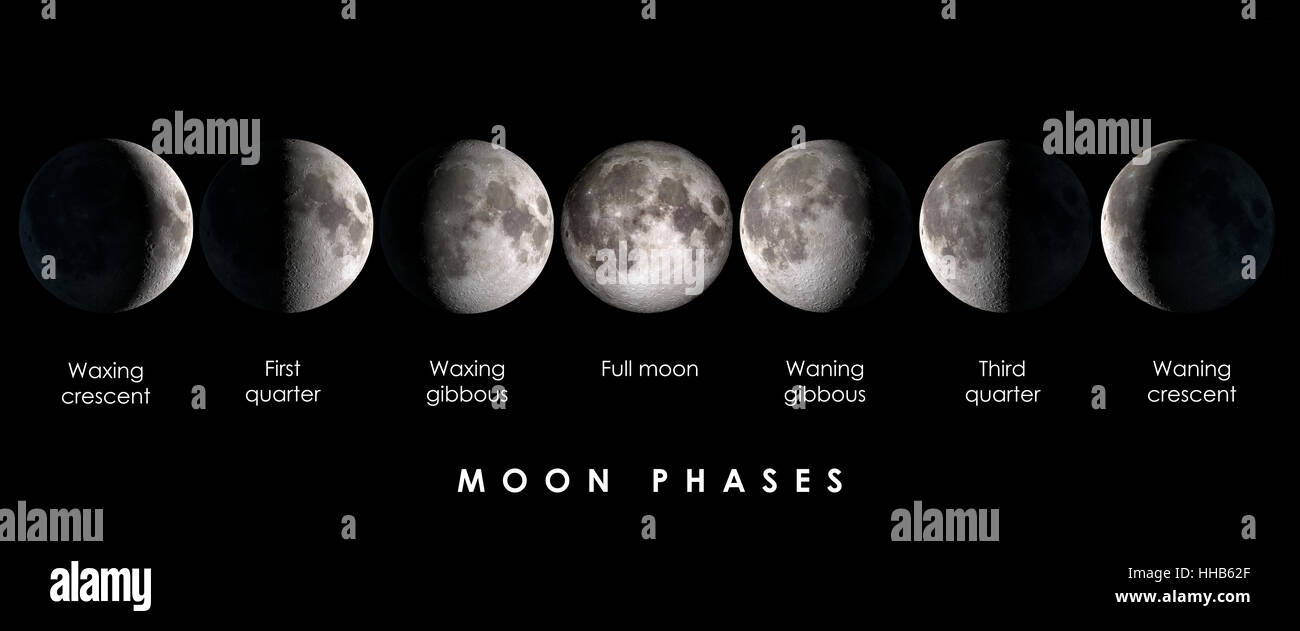 Fasi lunari con testo, gli elementi di questa immagine sono fornite dalla NASA Foto Stock