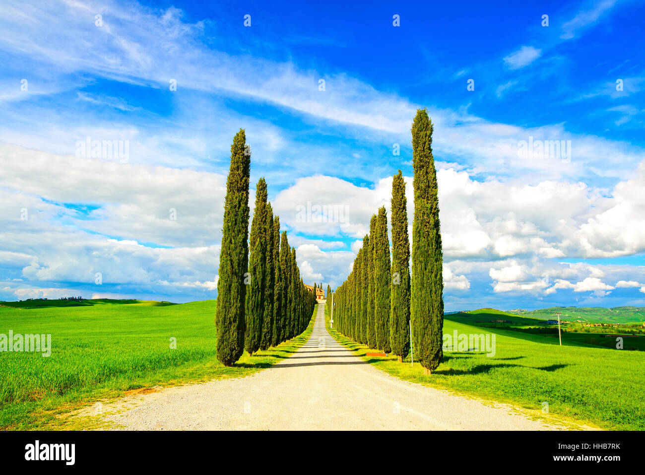 Cipressi righe e una strada bianca del paesaggio rurale in Val d Orcia terreno vicino a Siena, Toscana, Italia, Europa. Foto Stock