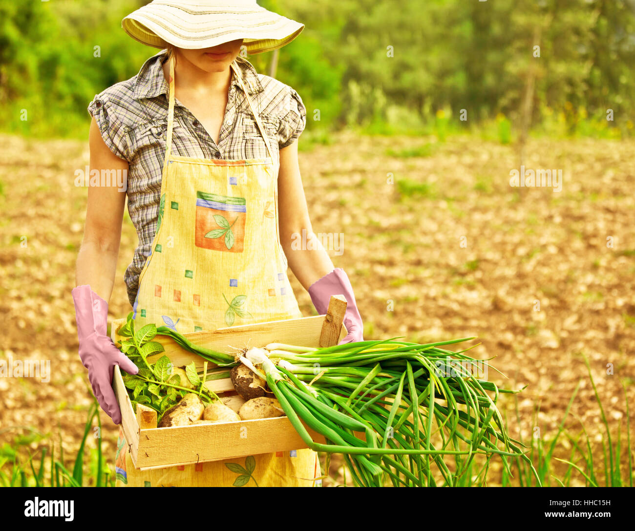 Femmina, agricoltura, allevamento, campo, raccolto, agricoltore, grembiule, verdure, rurale, Foto Stock