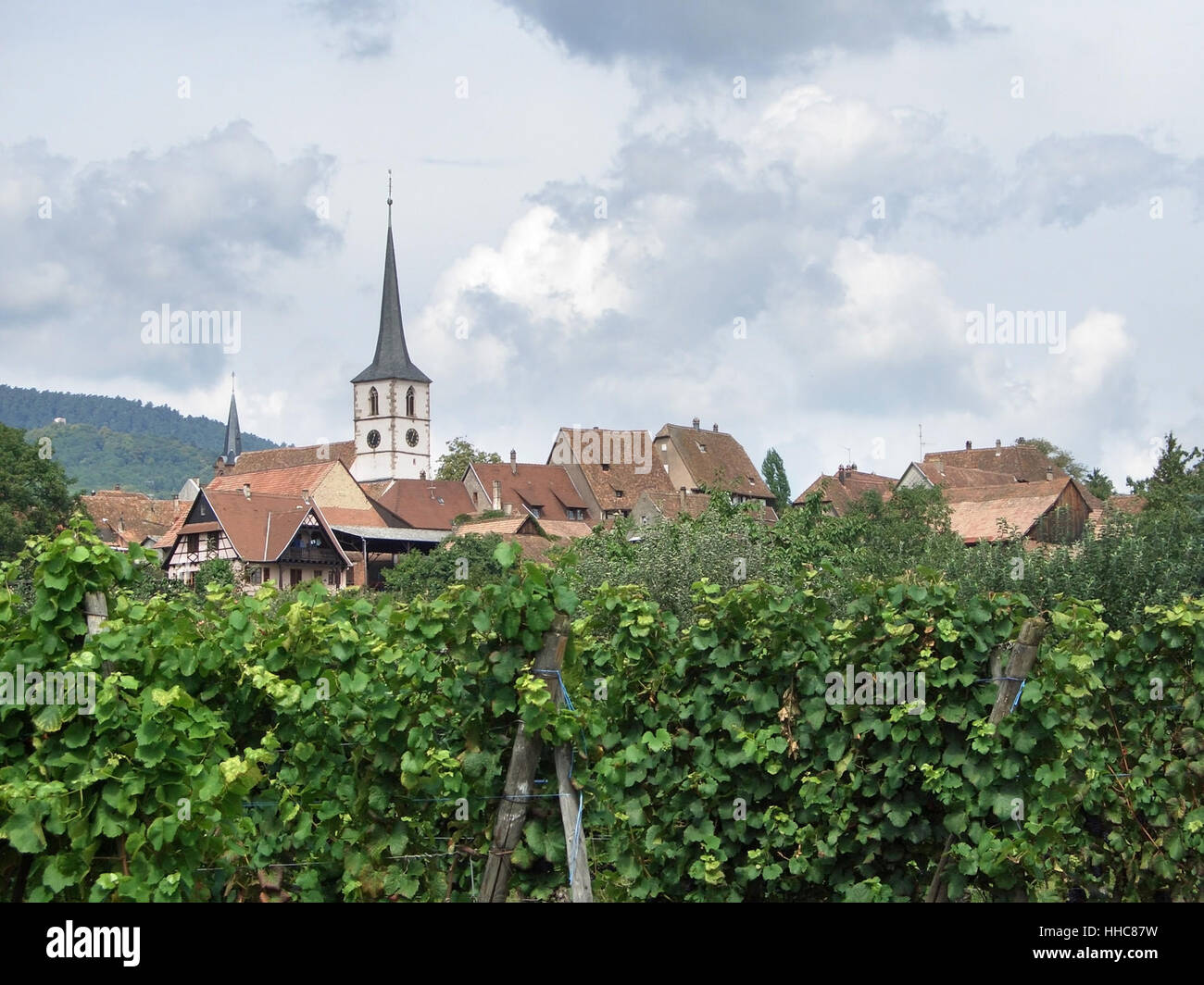Nuvoloso scenario mostra Mittelbergheim, un villaggio di una regione in Francia denominato Alsazia Foto Stock