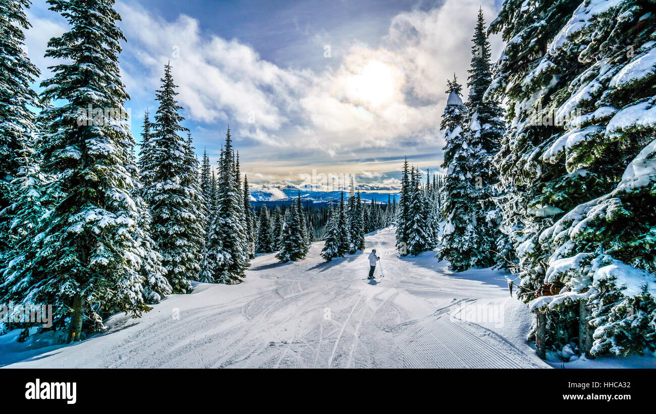 Sciare al tramonto in un paesaggio invernale in Alta Alpine sui Monti del Sole i picchi del Shuswap Highlands centrali di British Columbia Canada Foto Stock