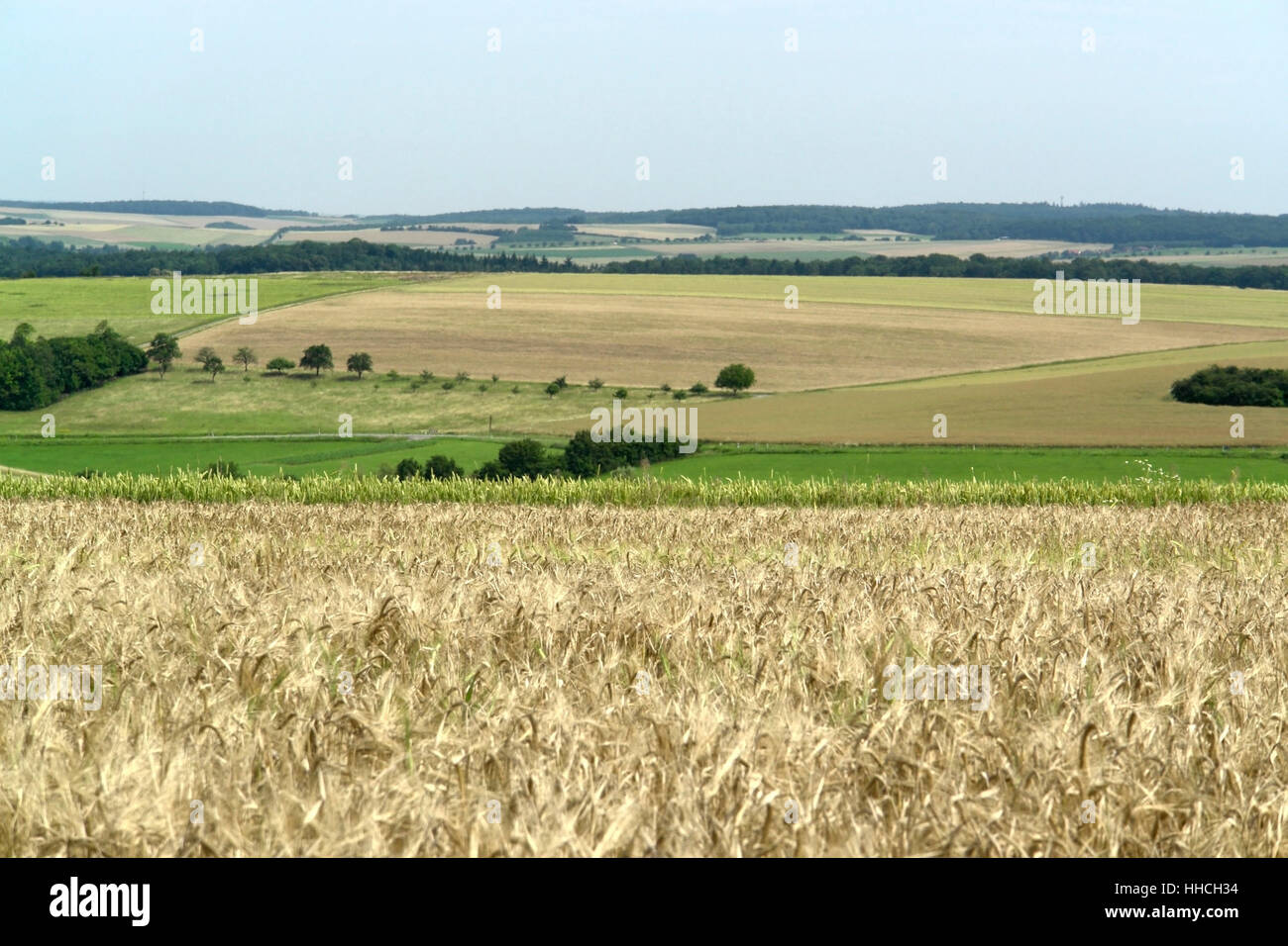 Idilliaco e rurale paesaggio panoramico in Hohenlohe, un area nel sud della Germania, in estate Foto Stock