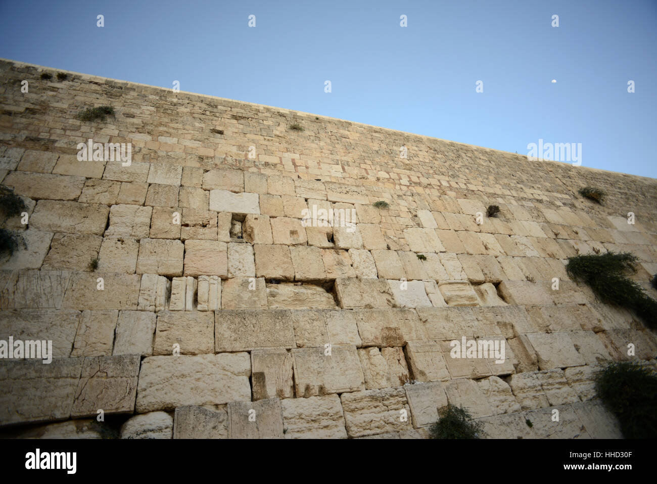 Il Muro Occidentale di Gerusalemme, Israele / © Craig M. Eisenberg Foto Stock