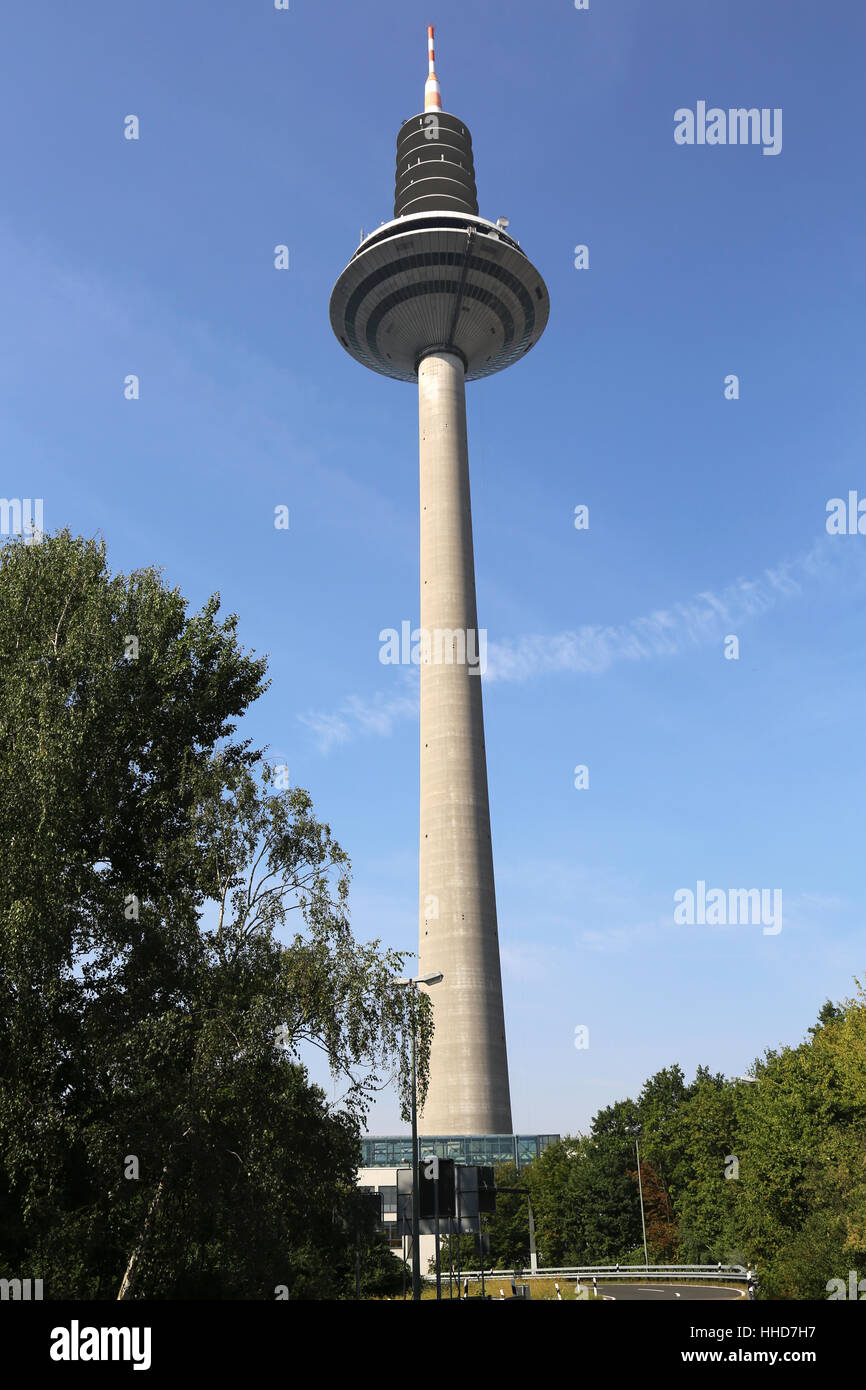 Germania, Repubblica federale di Germania, Francoforte, asparagi, torre di comunicazione, Foto Stock