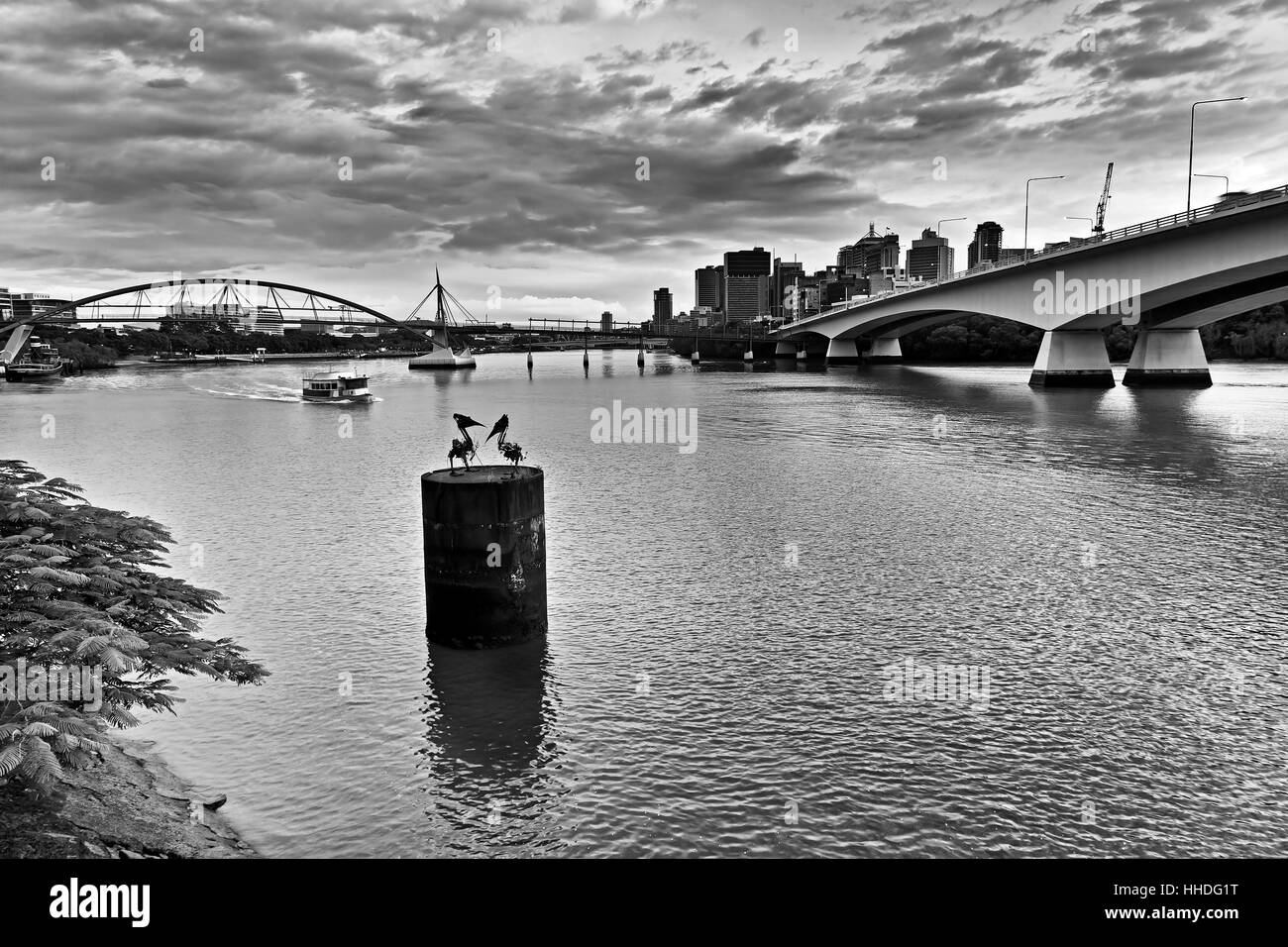 La città di Brisbane CBD attraverso il fiume tra Captain Cook's bridge e il ponte pedonale a sunrise in bianco e nero. Foto Stock