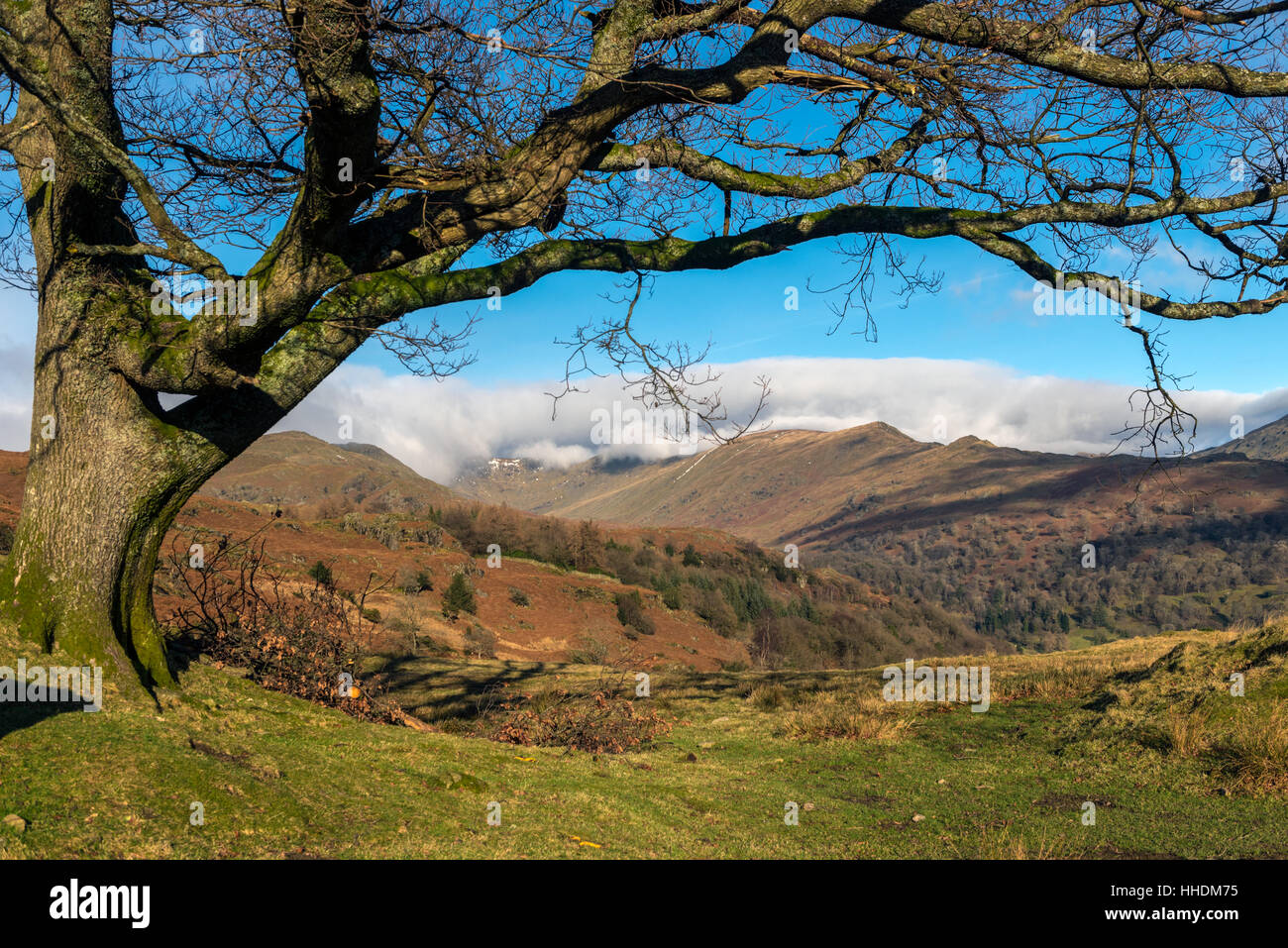Il Fairfield Horseshoe da Loughrigg cadde Foto Stock