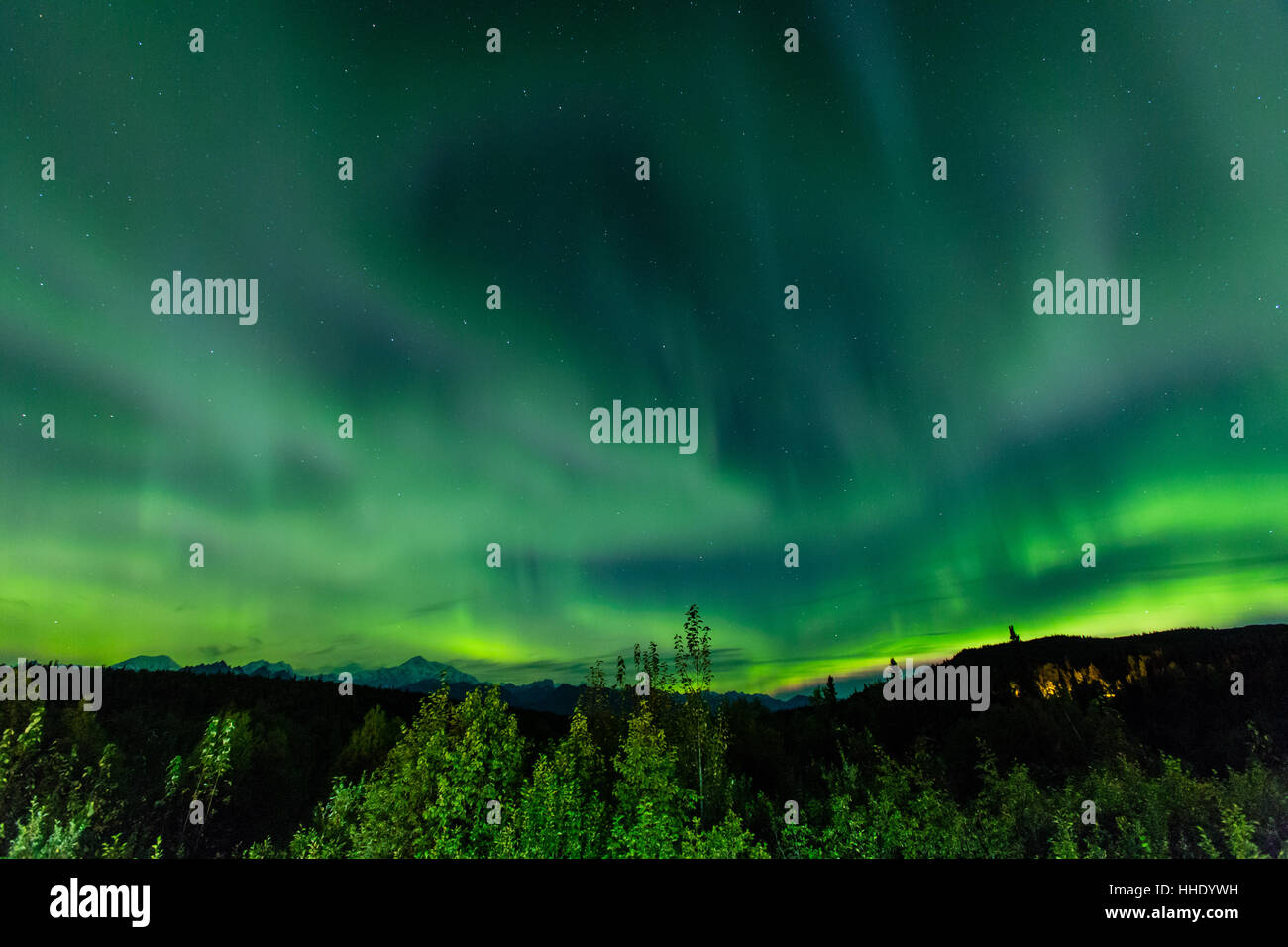 Aura Borealis (Northern lights) nel deserto di Denali National Park, Alaska, STATI UNITI D'AMERICA Foto Stock