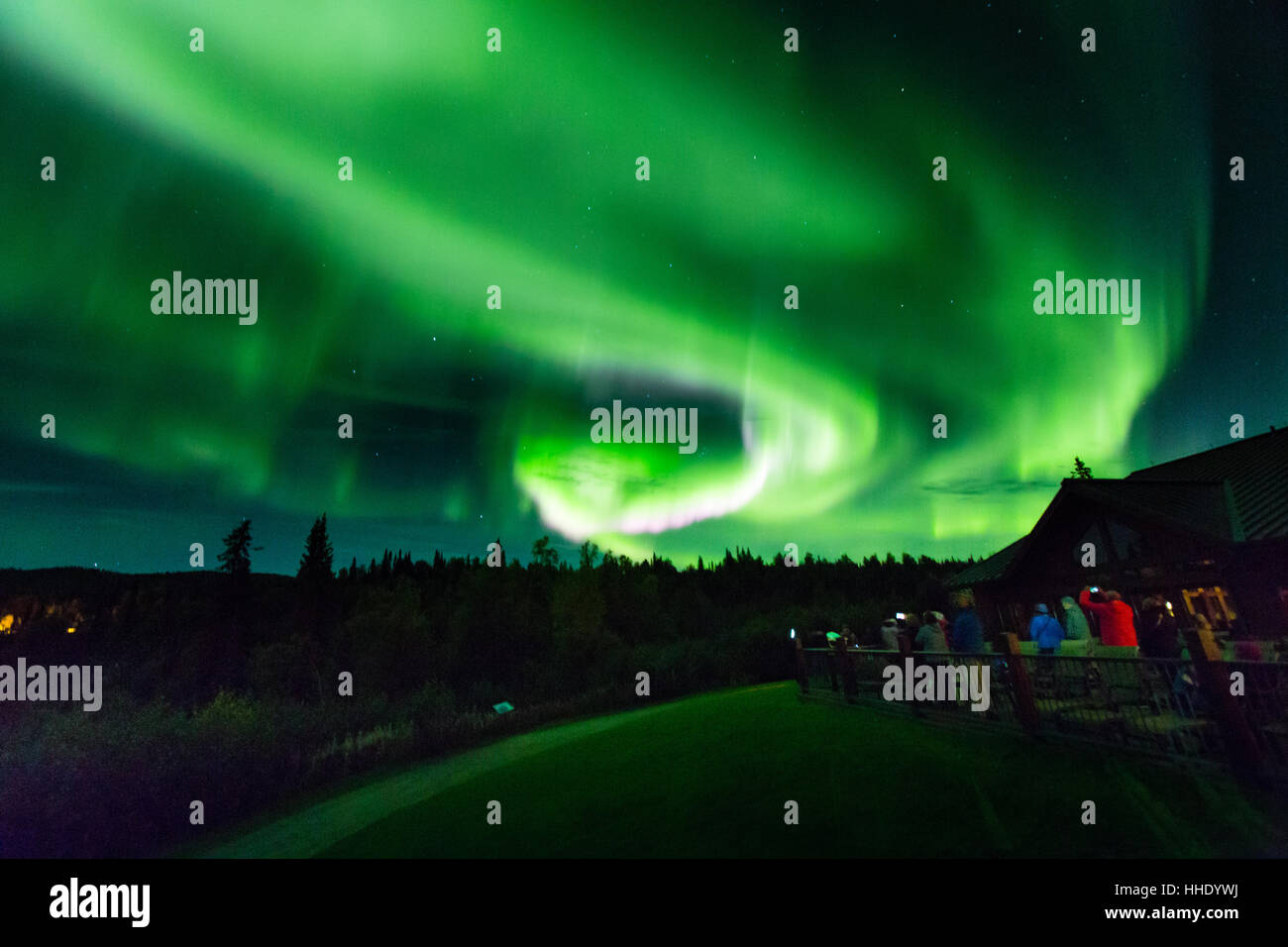 Aura Borealis (Northern lights) nel deserto di Denali National Park, Alaska, STATI UNITI D'AMERICA Foto Stock