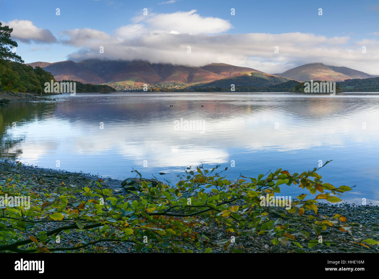 Skiddaw e Blencathra fells da Silverdale, Derwent Water, Parco Nazionale del Distretto dei Laghi, Cumbria, Regno Unito Foto Stock