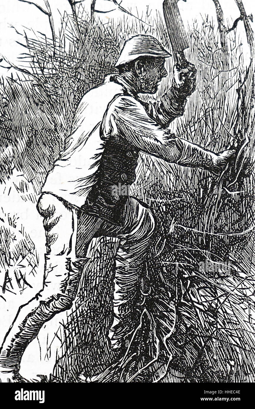 Giardiniere hacking una siepe. Inglese del XIX secolo, 1875 Foto Stock