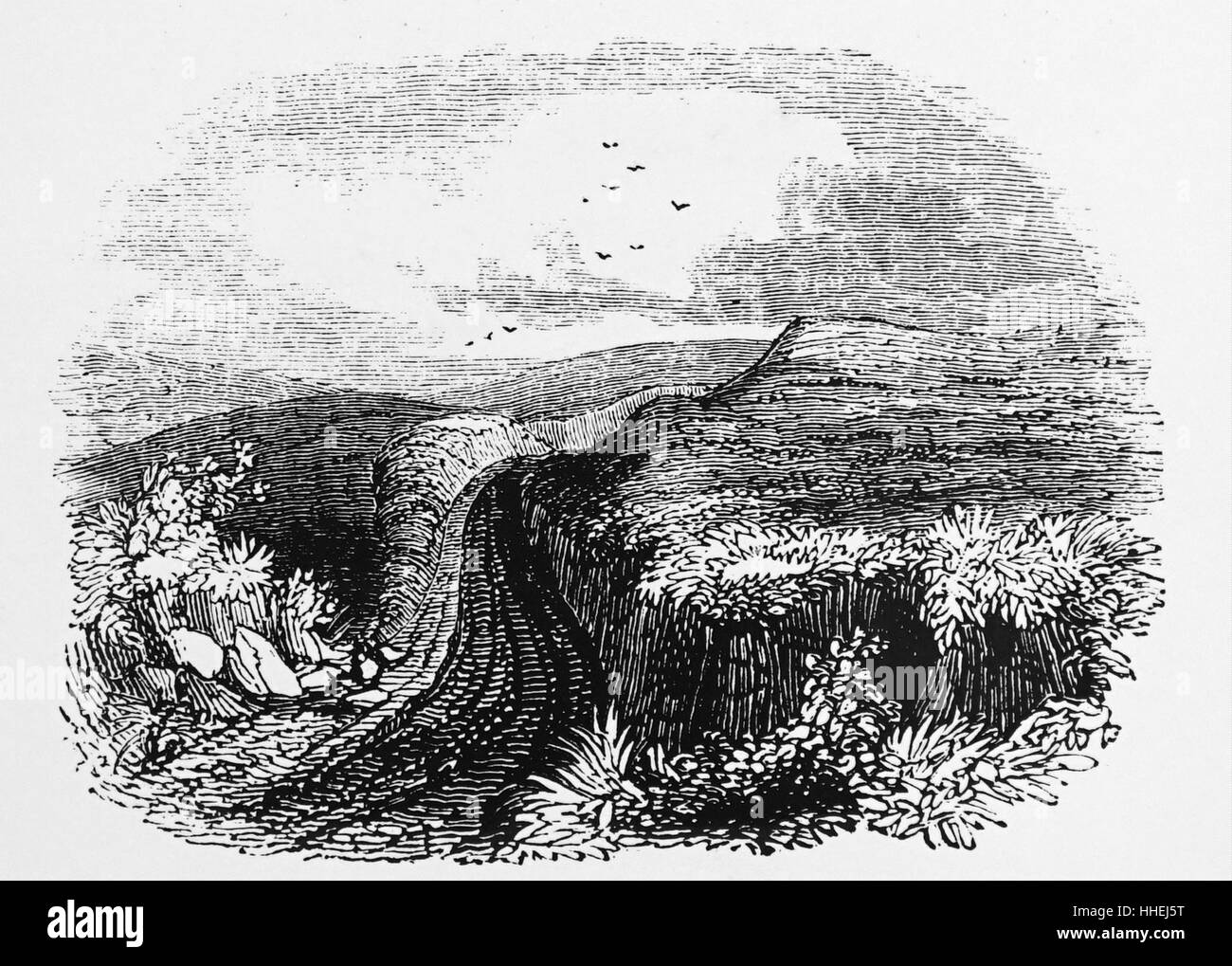 Incisione raffigurante Fosse Way, noto anche come WAN's Dyke o Woden's Dyke, che scorre per circa 80 miglia dal Canale di Bristol attraverso Hampshire, Wiltshire, Berkshire e Somerset. Datata del XIX secolo Foto Stock