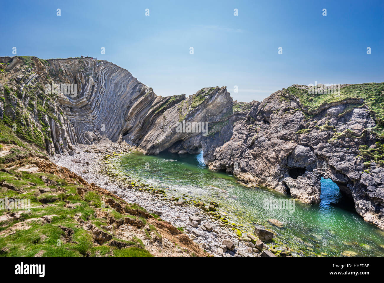 Gran Bretagna, Sud Ovest Inghilterra, Dorset, Jurassic Coast, Lulworth Cove, ripiegata di strati di calcare al cove del foro di scale Foto Stock