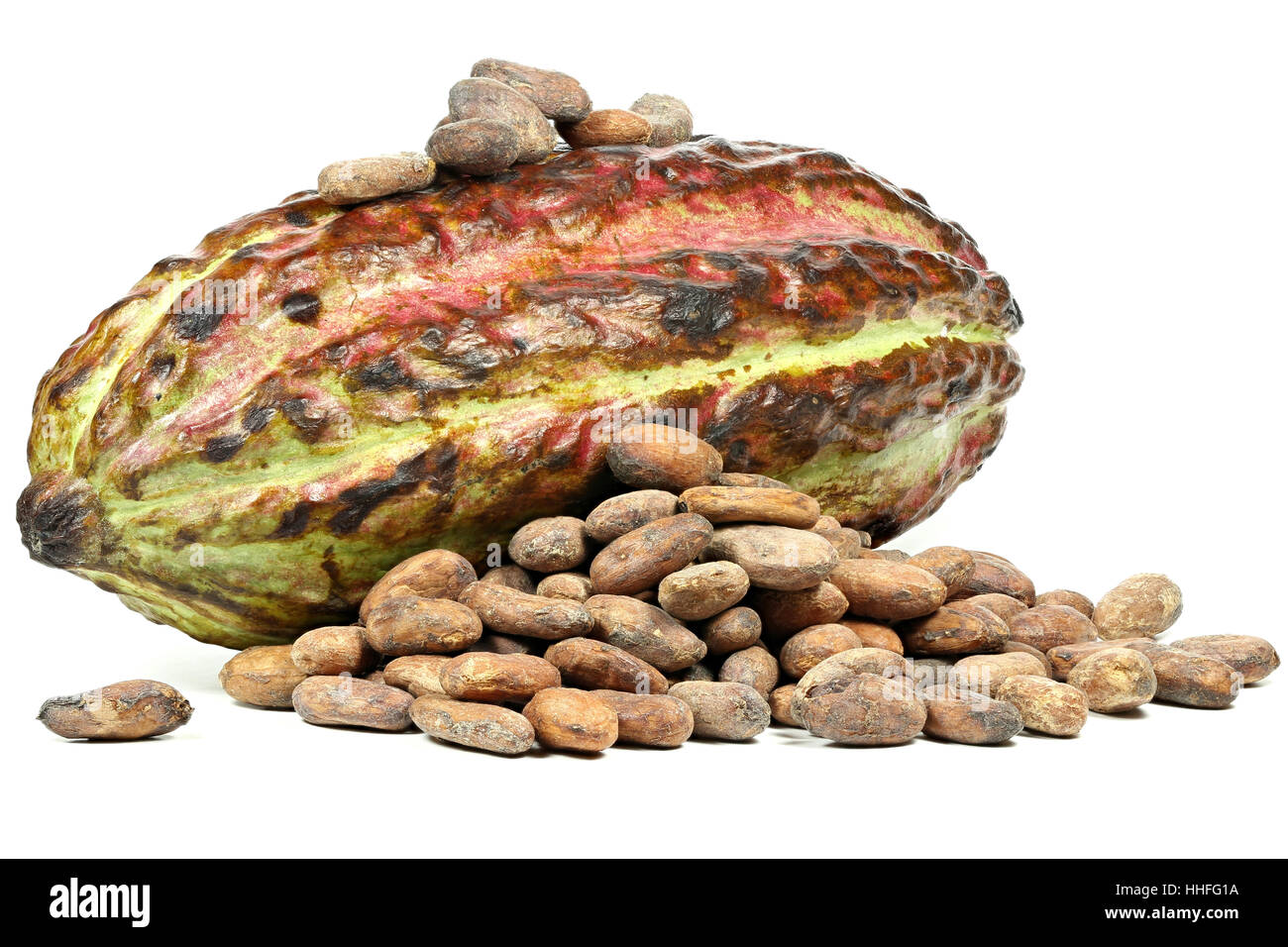 Frutto di cacao con arrosti di chicchi di cacao isolati su sfondo bianco Foto Stock