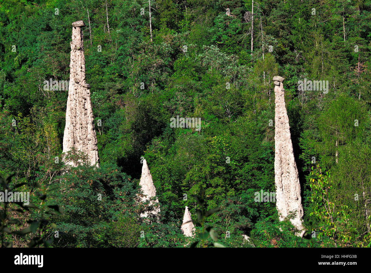 Albero, pietra, legno, alpi, rock, piramide, unica, paesaggio, paesaggio, Foto Stock
