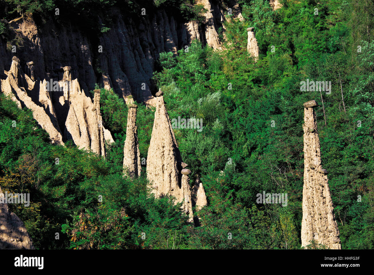 Albero, pietra, legno, alpi, rock, piramide, unica, paesaggio, paesaggio, Foto Stock