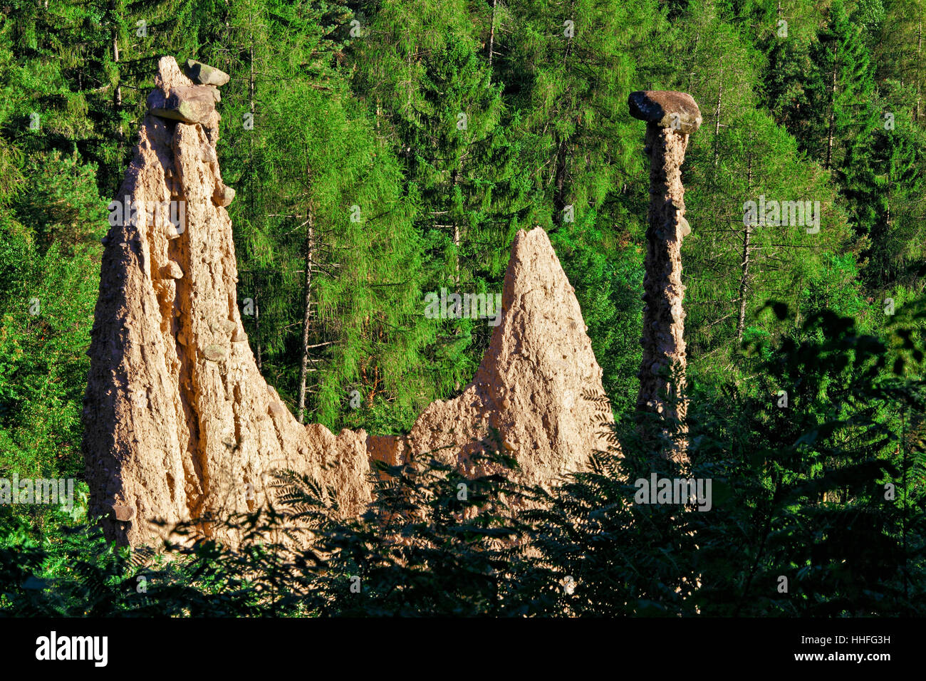 Albero, pietra, legno, alpi, rock, piramide, unica, paesaggio, paesaggio, Foto Stock