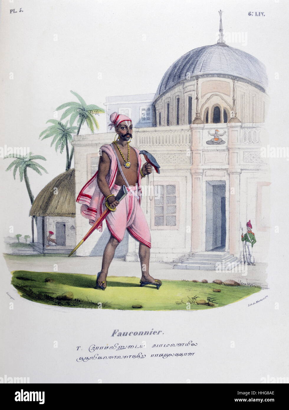 Litografia francese di un falconiere con falco; India, da Marlet 1828 Foto Stock