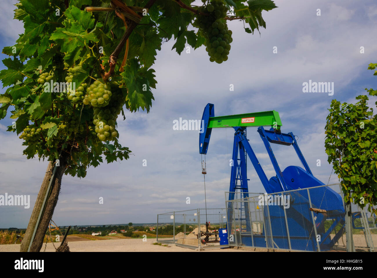 Auersthal: OMV pompa olio e vino in vigna, Weinviertel, Niederösterreich, Austria Inferiore, Austria Foto Stock