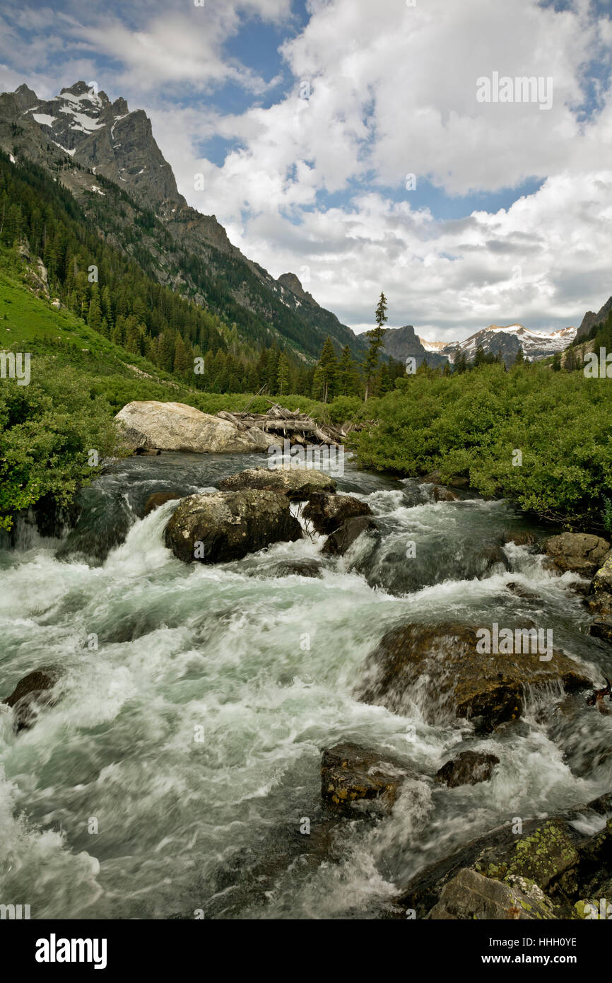 WY02079-00...WYOMING - Cascata Creek in cascata Canyon; il Parco Nazionale del Grand Teton. Foto Stock