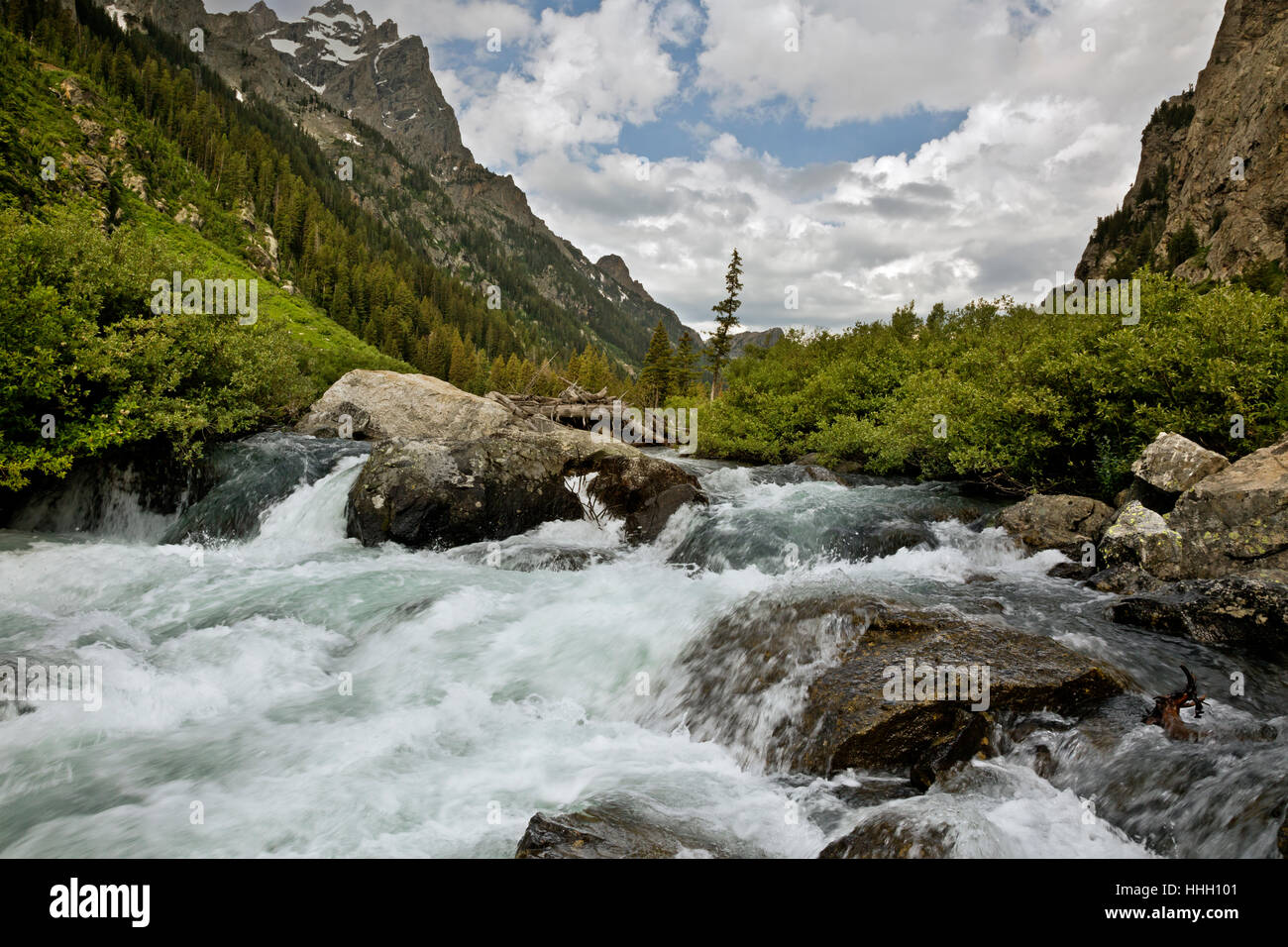 WY02080-00...WYOMING - Cascata Creek in cascata Canyon; il Parco Nazionale del Grand Teton. Foto Stock