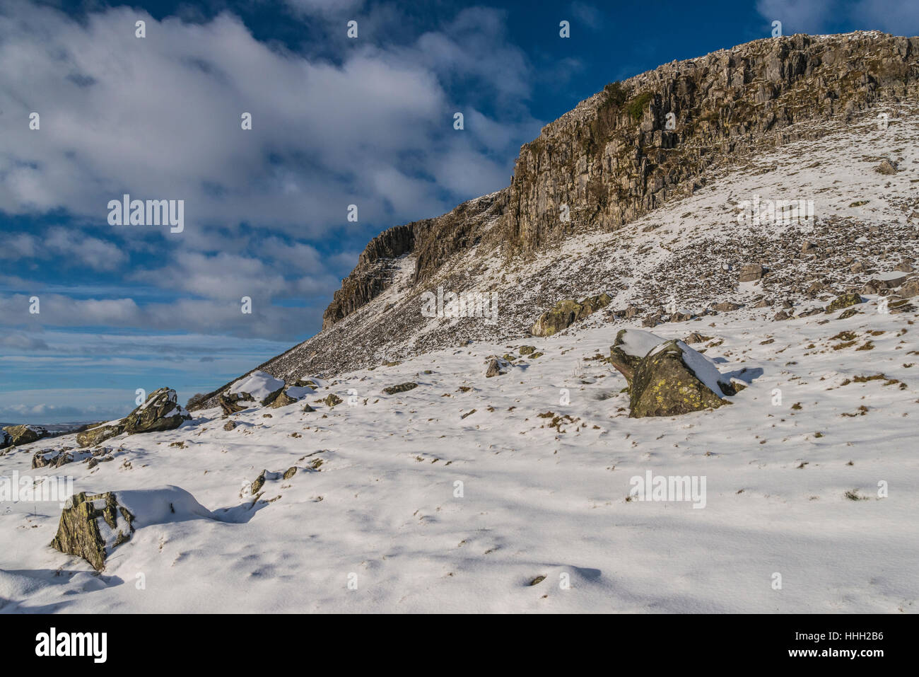 Robin cicatrice Proctor in inverno Foto Stock Robin cicatrice Proctor in inverno Foto Stock