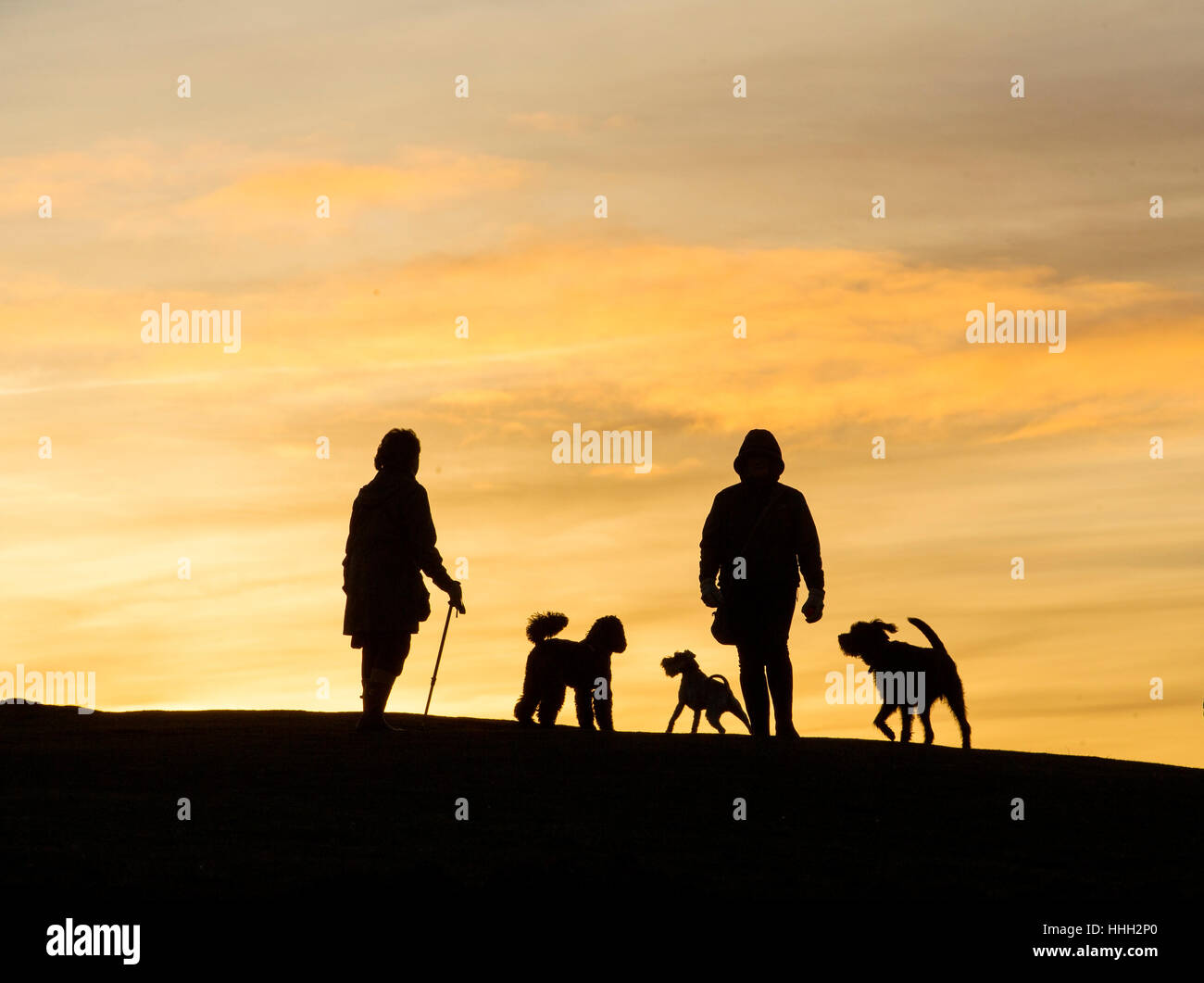 Dog walkers guardare il tramonto in inverno sulla sommità del Blackford Hill, Edimburgo Foto Stock