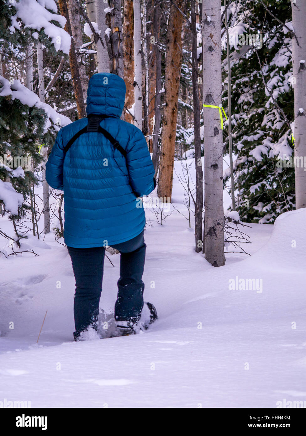 Donna con le racchette da neve nella foresta, orientamento verticale Foto Stock