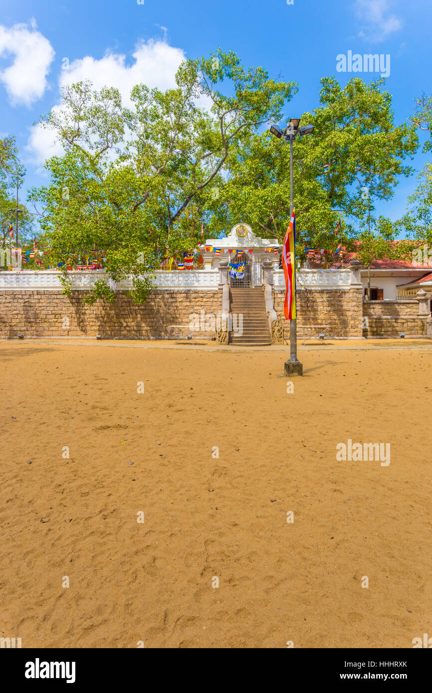 Campo di sporcizia e sud composto gradini portano alla sacra Jaya Sri Maha Bodhi albero di fico su un cielo blu giorno in Anuradhapura capitol rovine Foto Stock