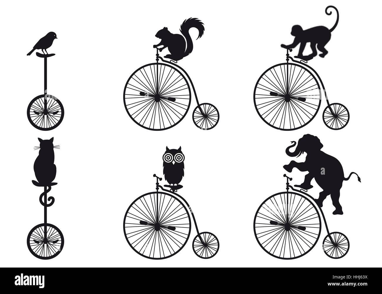 Animali, uccelli, elefante, scimmia, OWL, bike, noleggio, ciclo, Pussycat, gatto, Foto Stock