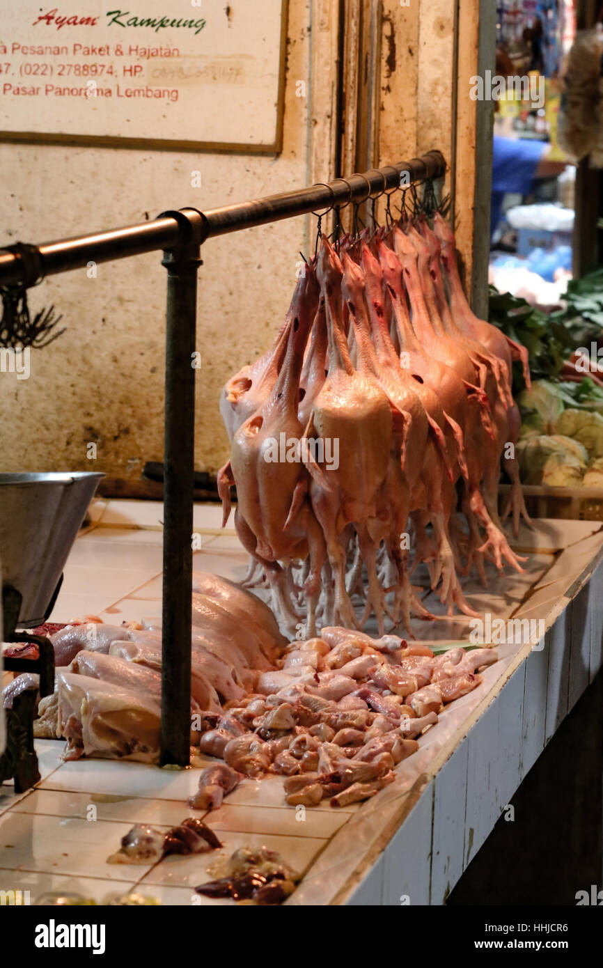I polli per la vendita in un tradizionale indonesiano mercato. E macellati sul display senza refrigerazione o ghiaccio. Un vettore per la salmonella! Foto Stock