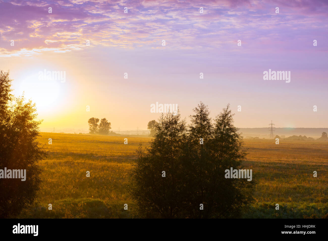 Misty dawn a inizio estate mattina nel villaggio. Aria fresca del mattino e la nebbia si insinua nel campo e pascoli, bassa sun si rompe attraverso il ramo di alberi Foto Stock