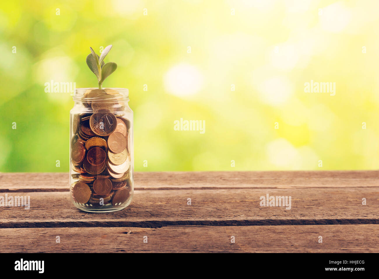 Risparmio finanziario - il concetto di crescita della pianta fuori di monete Foto Stock