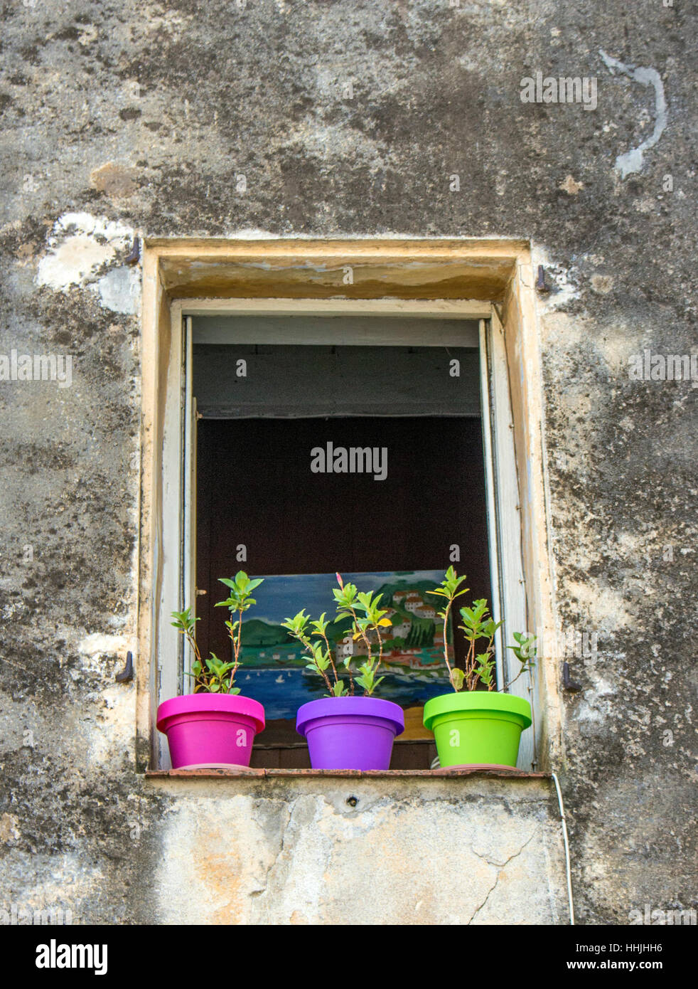 Tre vasi di fiori su una vecchia finestra in Italia. Foto Stock