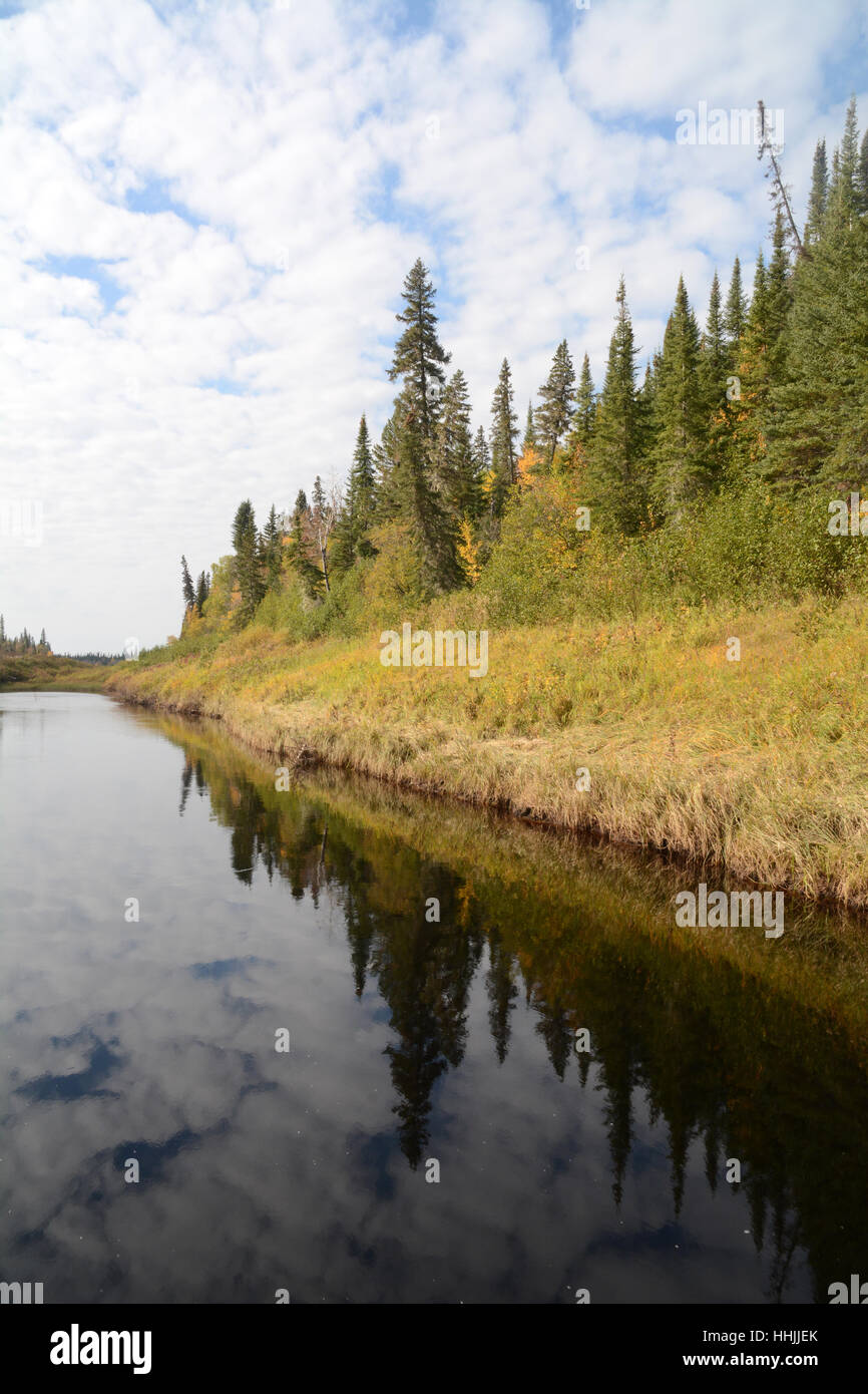 Le rive erbose e le acque dell'incontaminato fiume French nella foresta boreale, vicino a Moosonee, Ontario settentrionale, Canada. Foto Stock