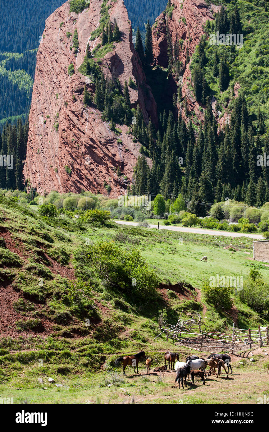 Escursionismo Jeti-Ögüz sopra rocce o sette torelli, famosa formazione rocciosa della Regione di Issyk-Kul, in pietra arenaria, vicino a Karakol Foto Stock