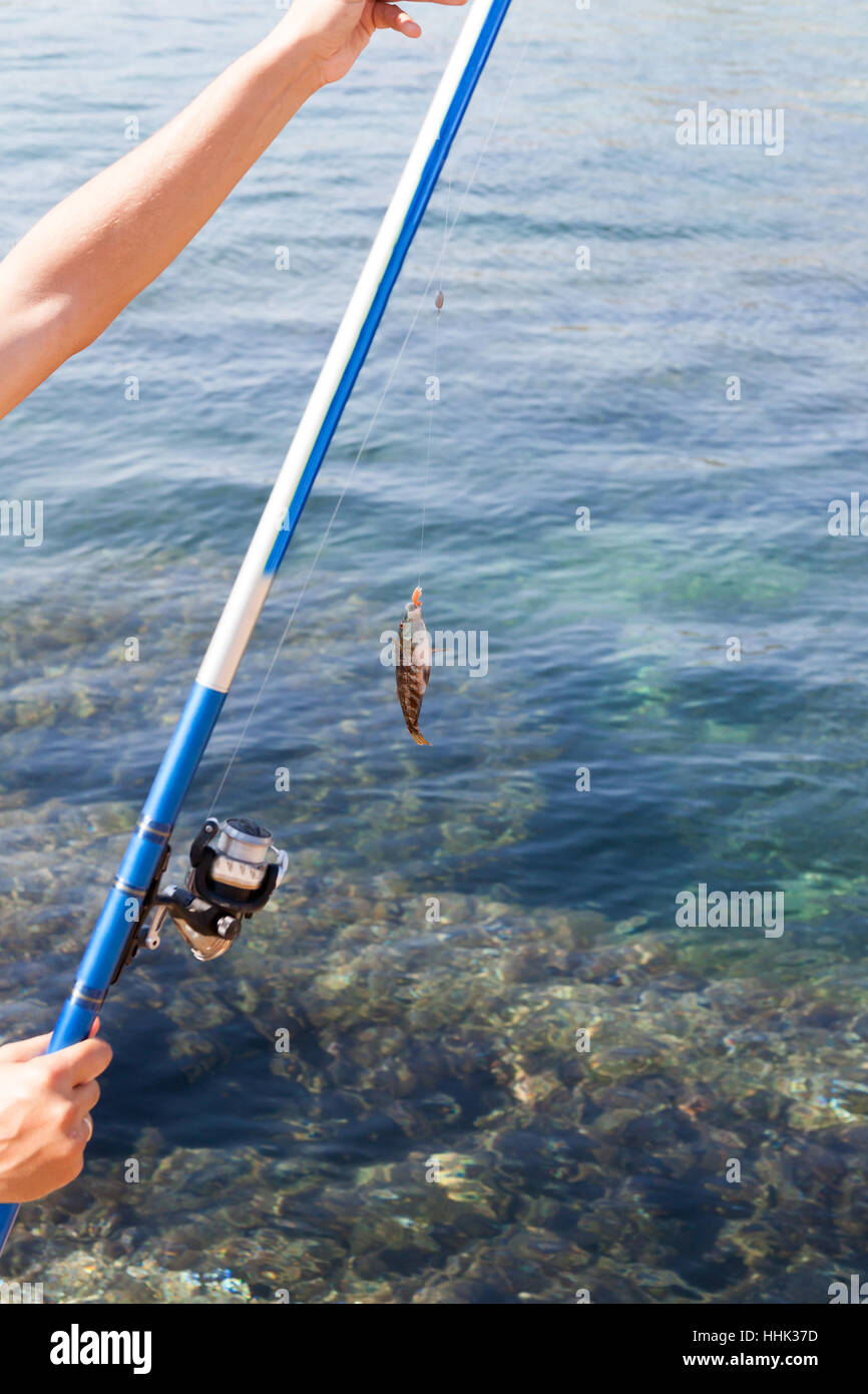 Il pesce agganciato ad un gancio e appeso a una impalcatura contro il mare Foto Stock