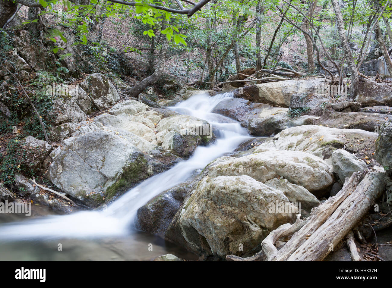 Bella foresta cade in montagna in estate nel pomeriggio, Crimea, Russia Foto Stock